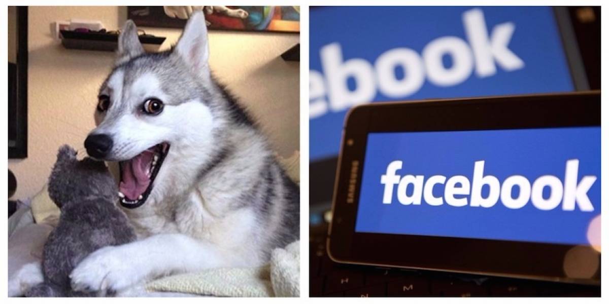 Falla en Facebook afecta usuarios en varias partes del mundo