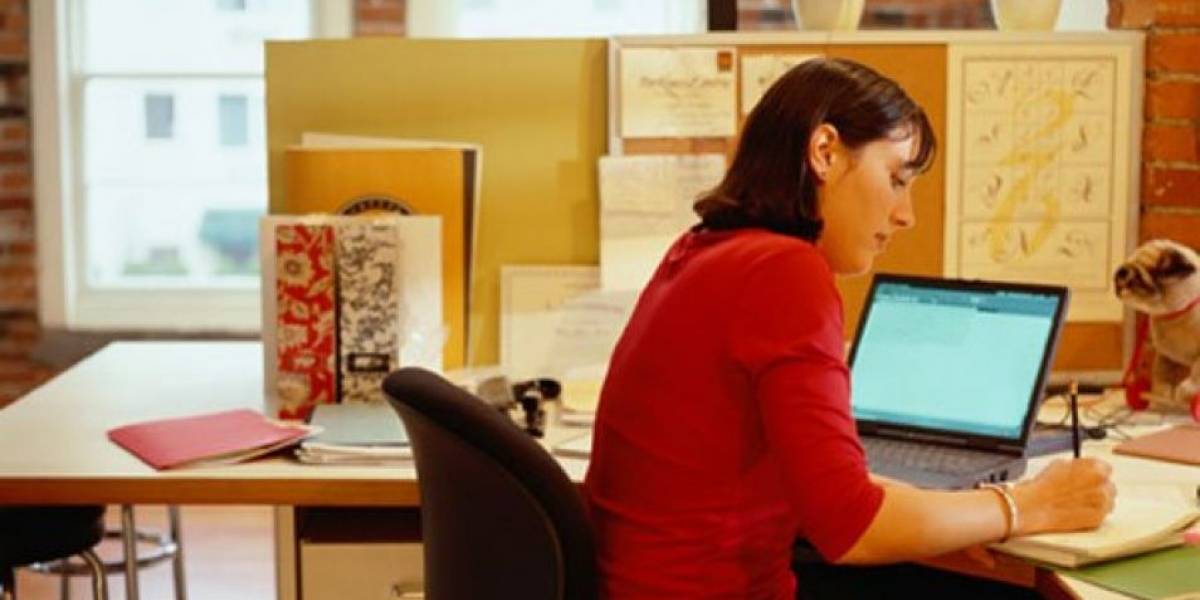 Lanzan plataforma de ofertas laborales en el Estado