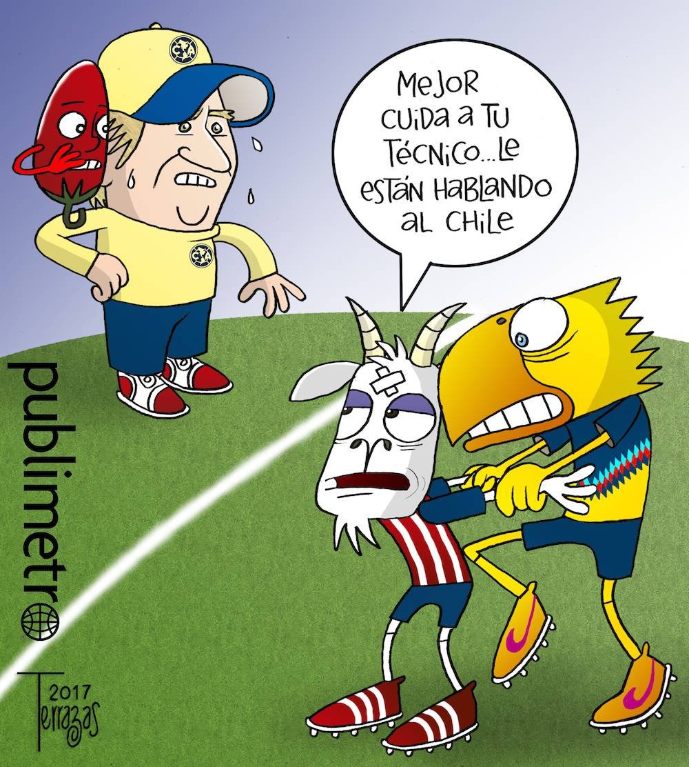Cartón