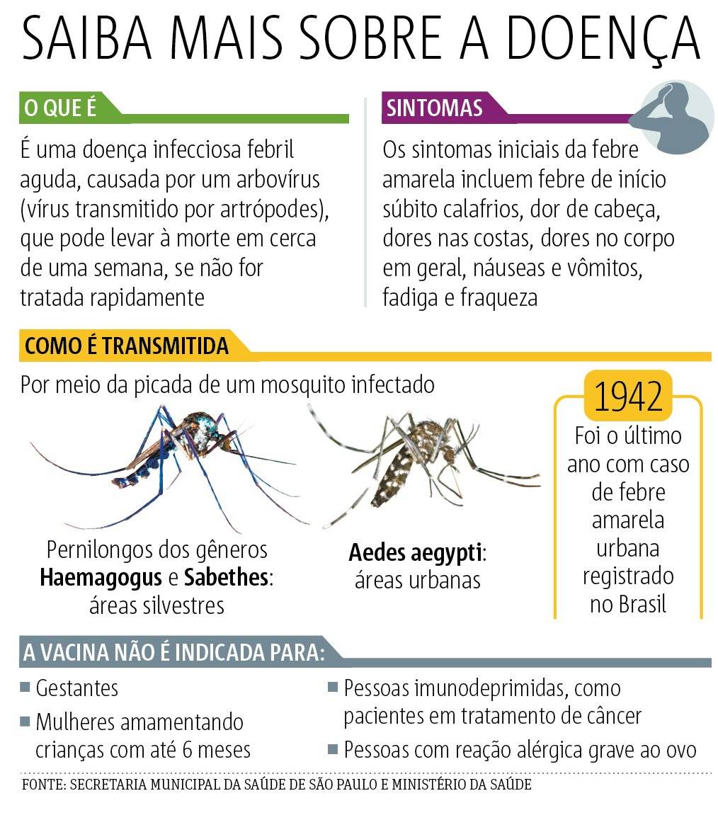 arte febre amarela
