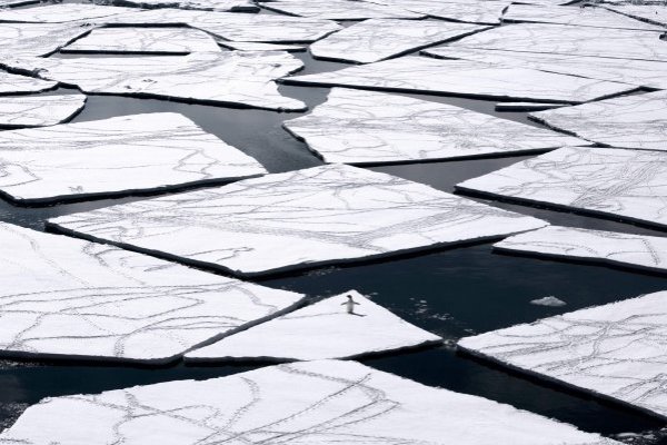 Nuevo y triste récord de concentración de CO2 en la atmósfera Nuevo y triste récord de concentración de CO2 en la atmósfera