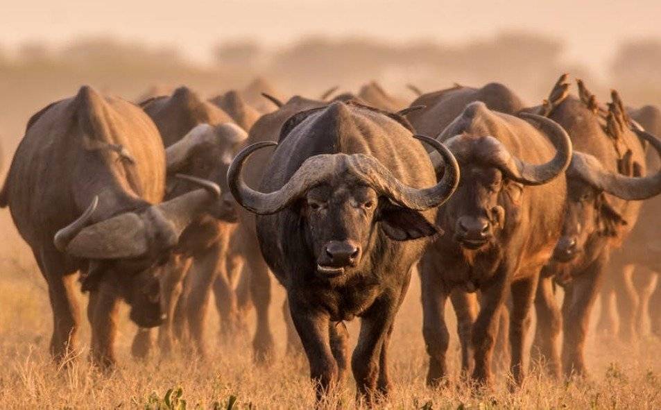 Sudáfrica