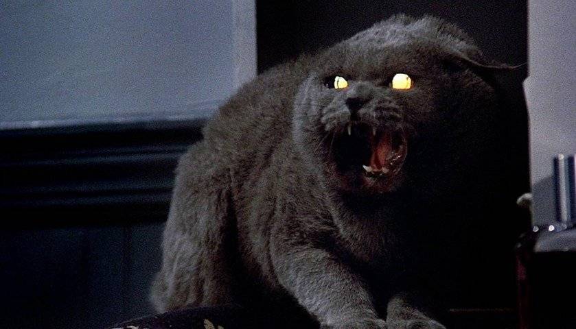pet sematary