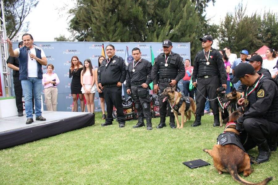 Jubilan con honores a nueve destacados perros policías