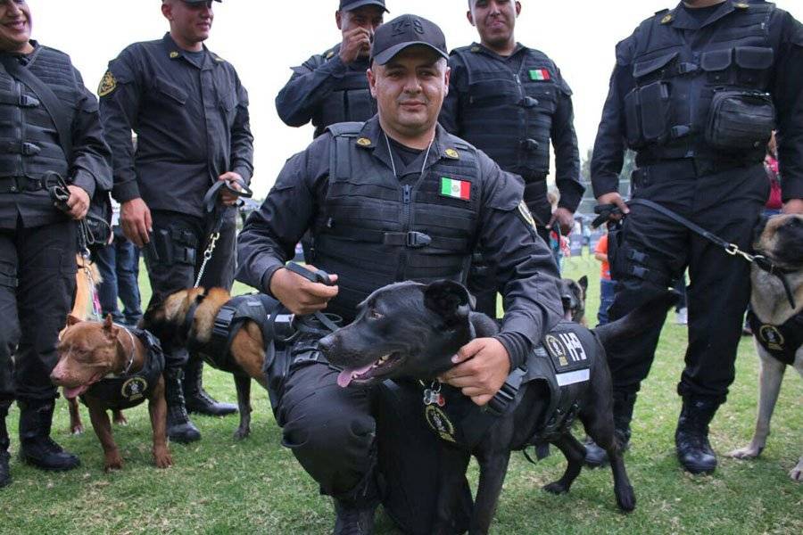 Jubilan con honores a nueve destacados perros policías