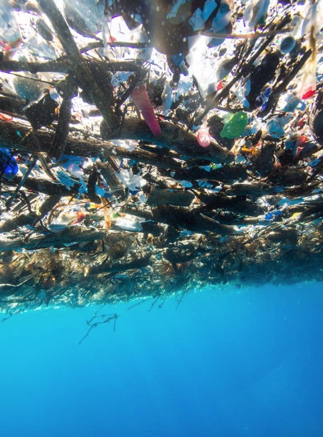 contaminación plástico