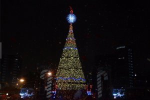 https://www.publinews.gt/gt/noticias/2018/11/16/pmt-calles-cerradas-festival-arbol-gallo-17-noviembre-2018.html