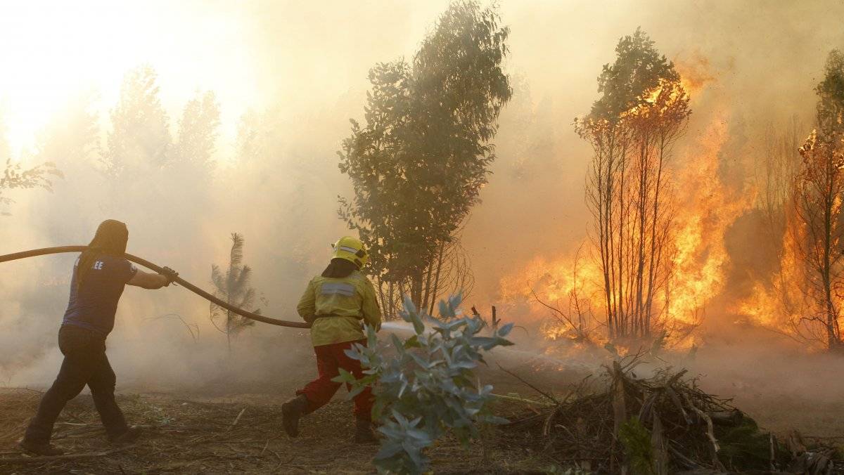 Incendio Forestal