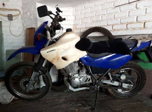 98594569motorbike-629f81d0e8937acce805e79d554dd65a.jpg