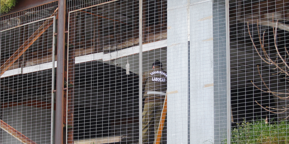 Nuevo ataque a Consulado de Argentina en Chile por muerte de Maldonado Nuevo ataque a Consulado de Argentina en Chile por muerte de Maldonado