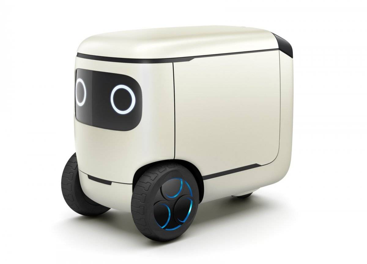 RoboCas