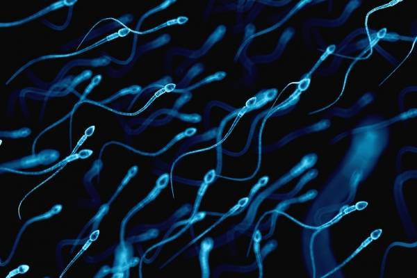 Alarma de coronavirus: podría producir infertilidad masculina