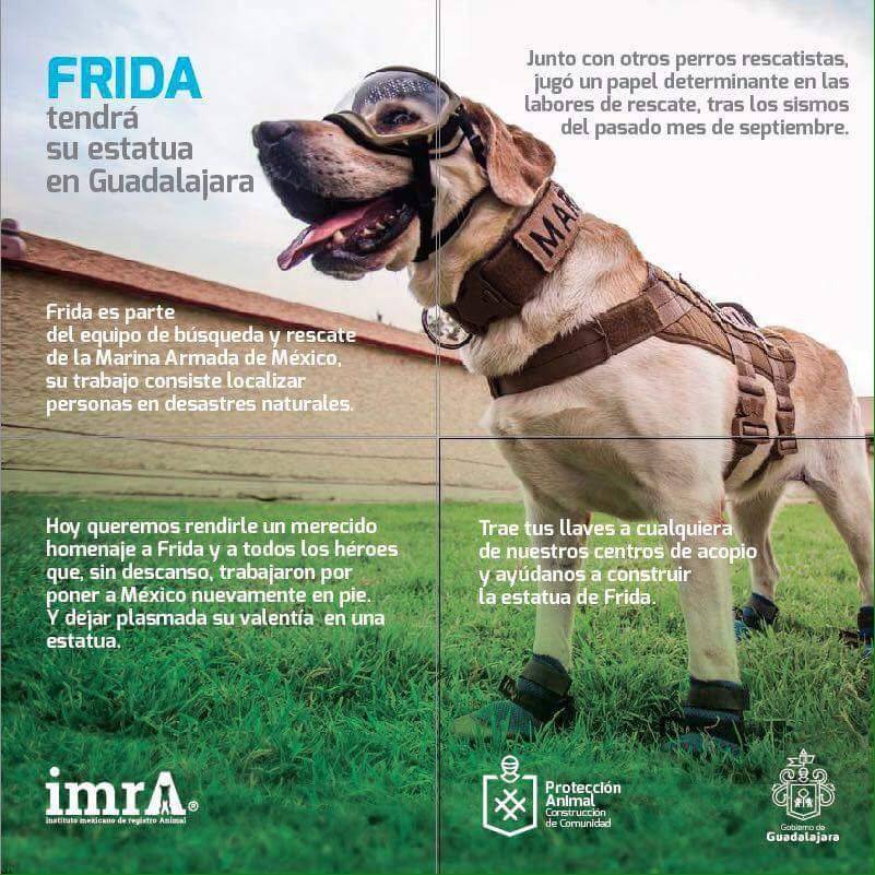 Reúnen llaves para la escultura de la perra rescatista Frida