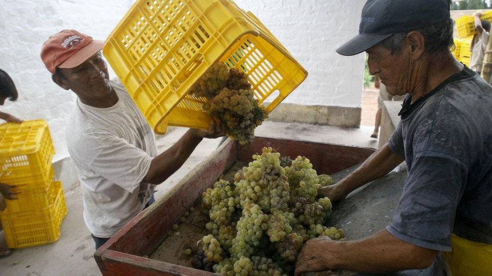 98577625pisco2afp-8d7c87738ba368e12d08094f582b558c.jpg