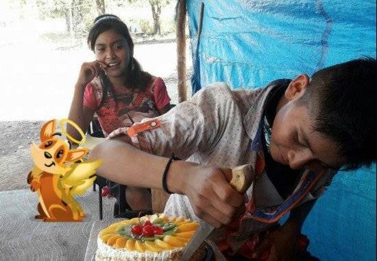 niño torta