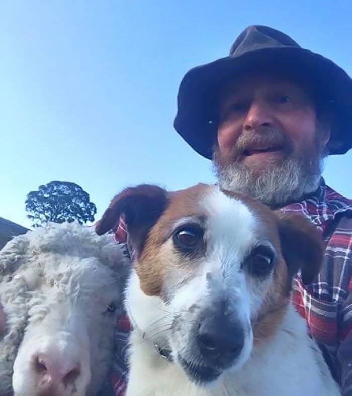 Selfies com os animais