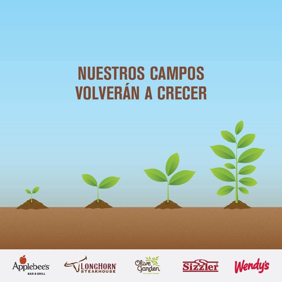 Juntos se Cultiva