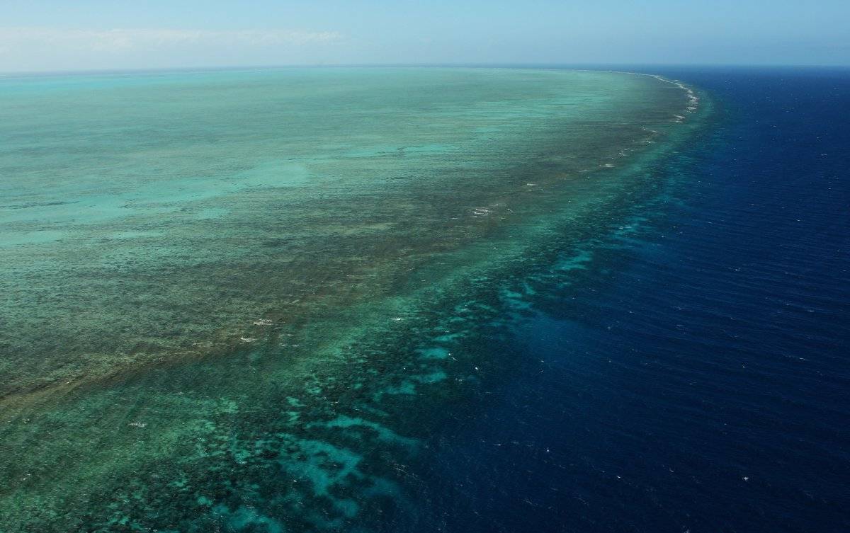 La Gran Barrera de Coral en Australia está muy amenazada.