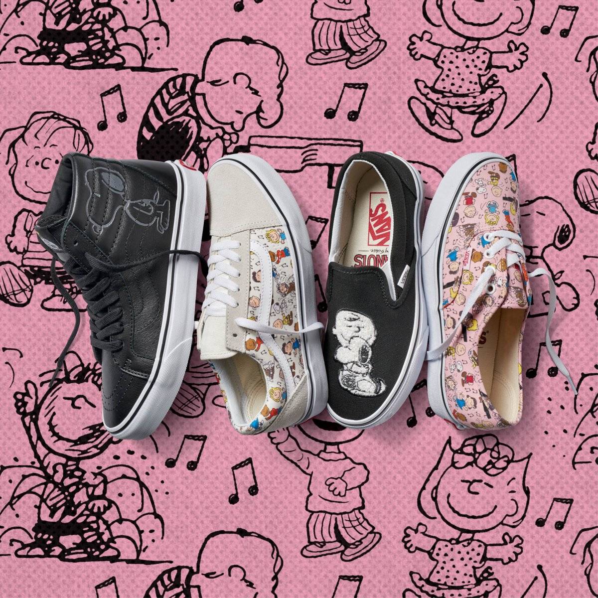 vans