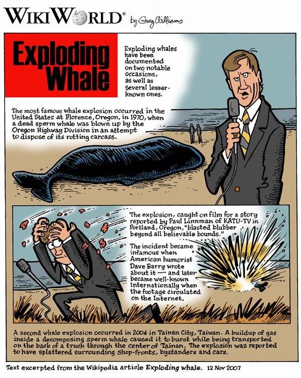 98765708whalewikiworld-2ff7387d42c30546eb11cc01e2b8c7d1.jpg