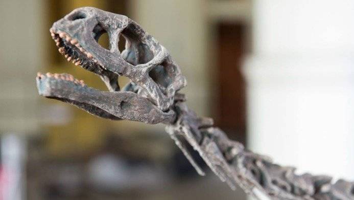 Chilesaurio