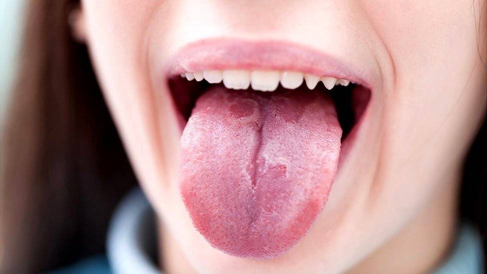 98765056lengua-4b59530eac472fb9378a0d11790fbd7f.jpg