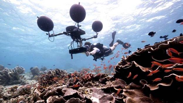 98772426grabandoblueplanet2-fcb774bc8162313c8f5fed47bf7be461.jpg