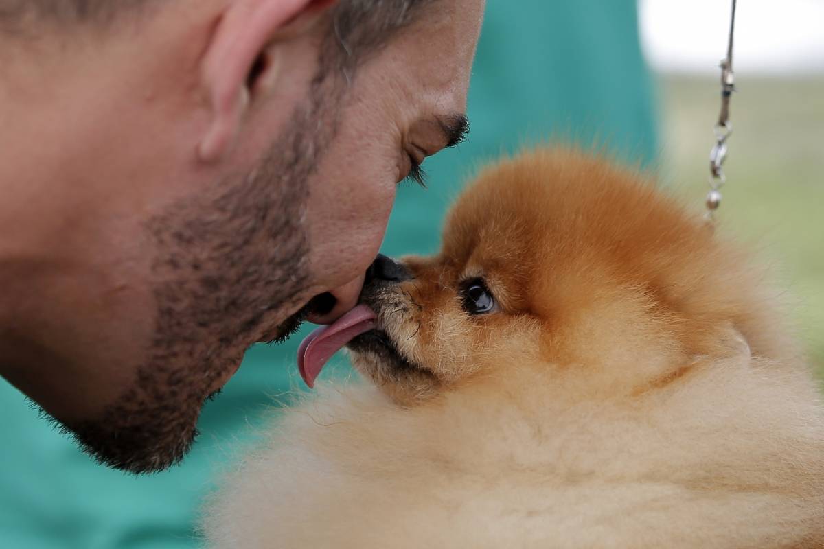 charla mujer estilo perrito charla mujer estilo perrito