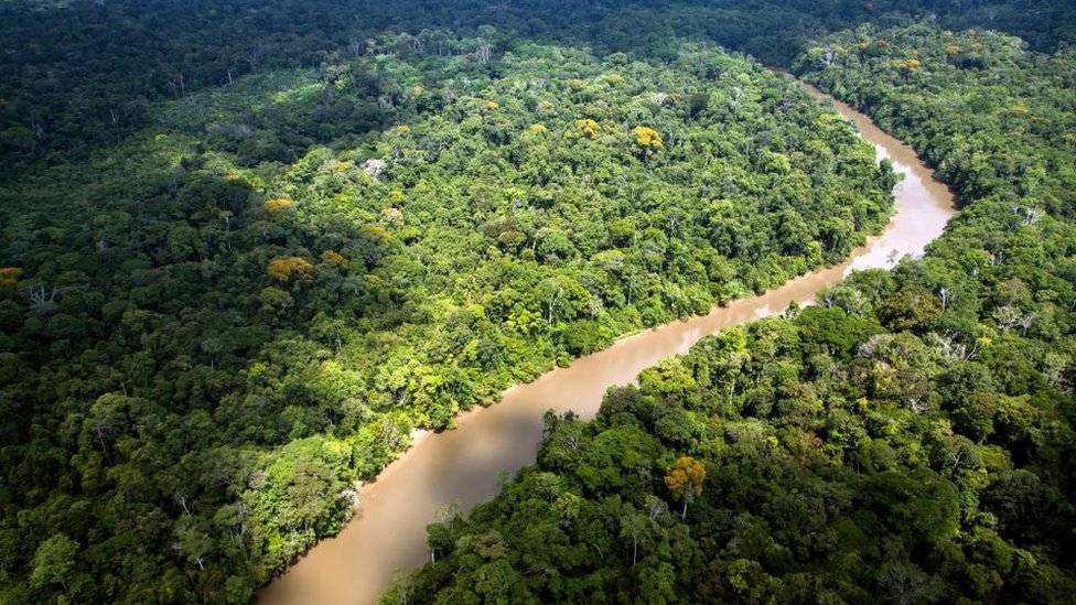 98803148guyana-358162384abe2790399a5c149e3b59e6.jpg