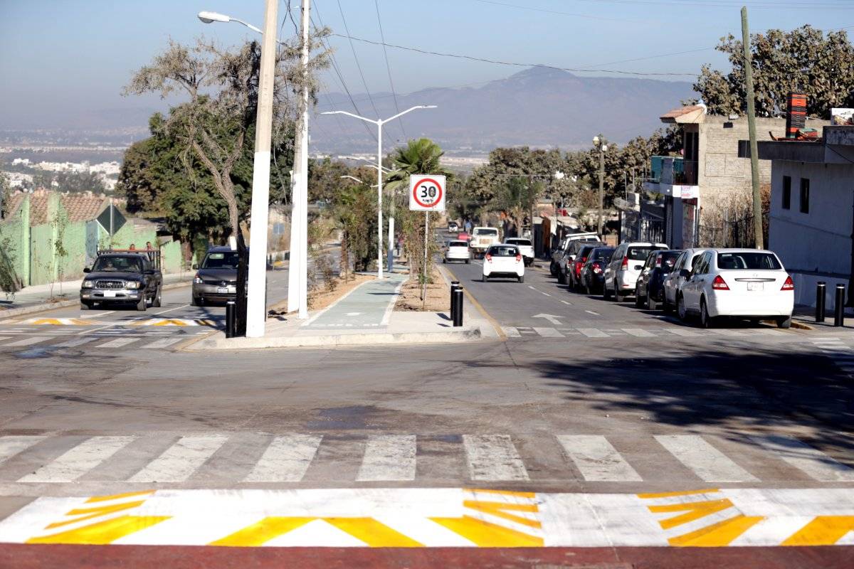 Parten bosque en Zapopan para introducir una vialidad