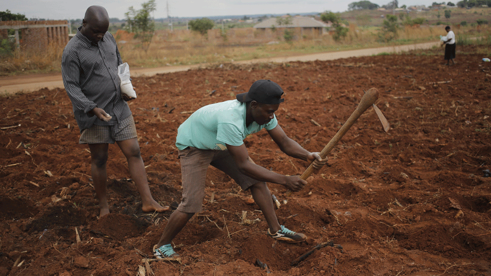 98798162farmersepa976-87ecede5f5a555c12c2d379b714c1e2d.gif