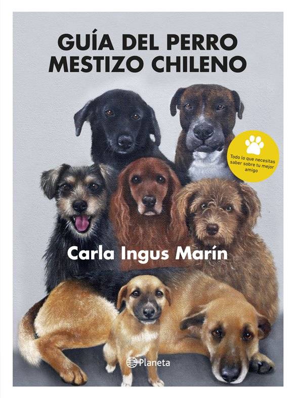 perro mestizo