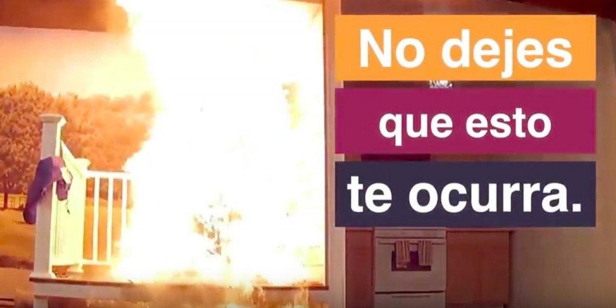 Trump perdona la vida a dos pavos Trump perdona la vida a dos pavos