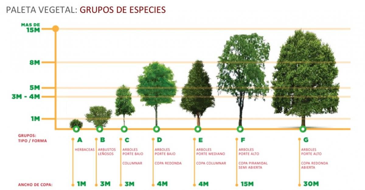 El Sistema de Tren Eléctrico presentó el proyecto de paisaje urbano que se llevará a cabo al finalizar la construcción
