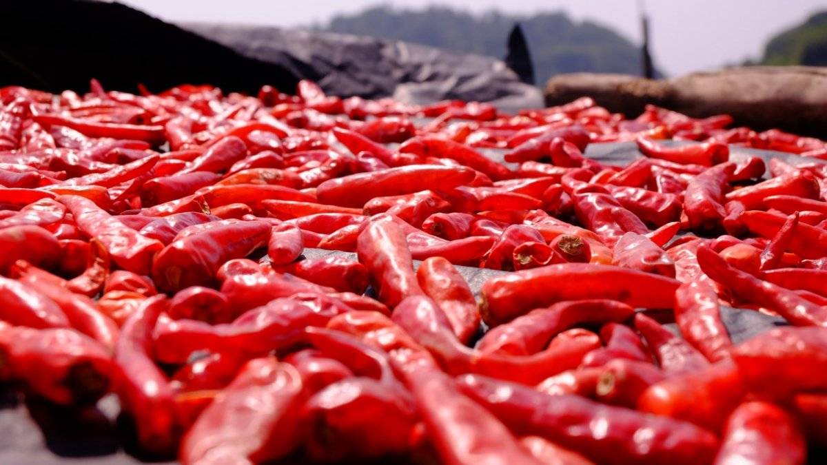 Pimenta