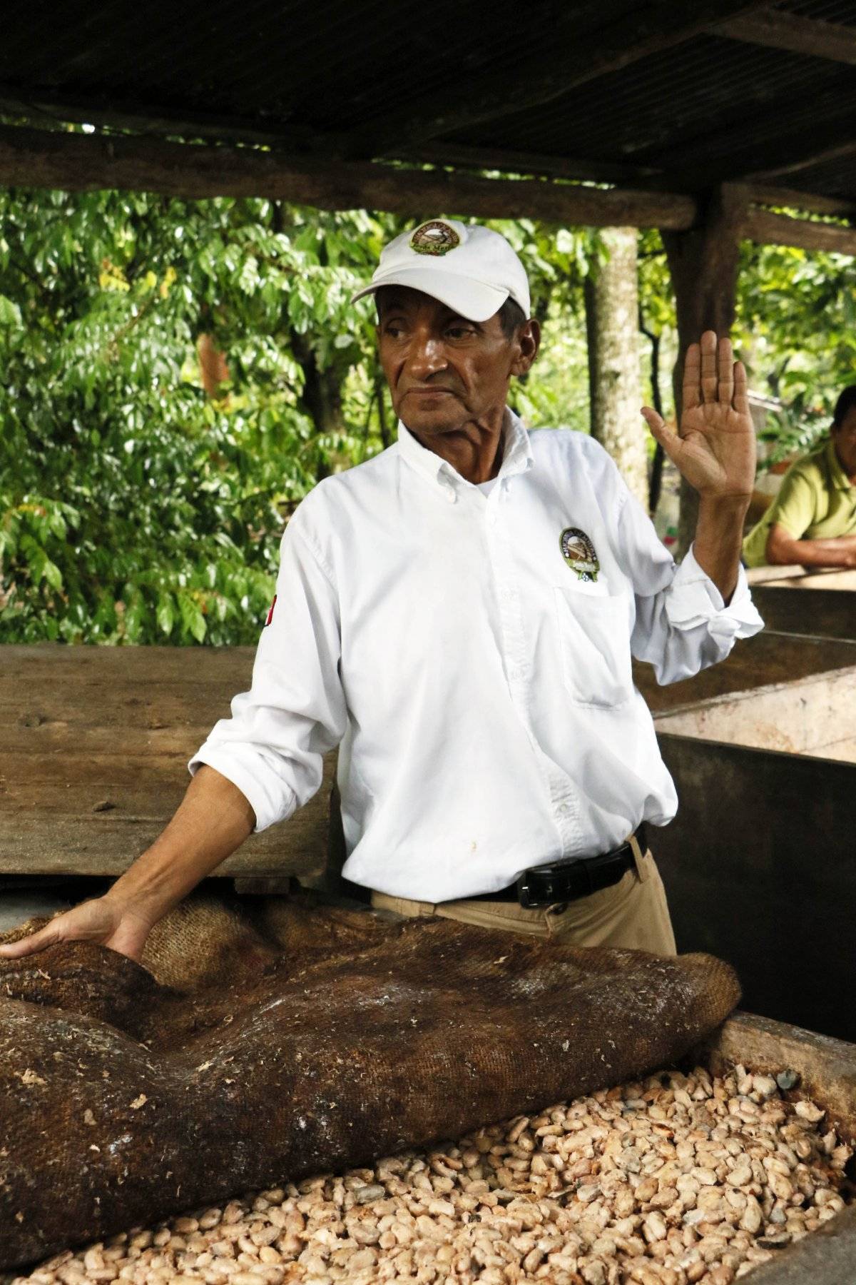Hacienda cacaotera
