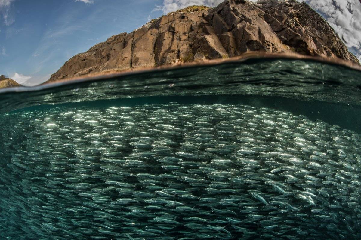 Cabo de Hornos