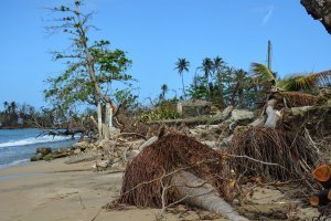 Una muestra del estado de las playas de Rincón, luego del huracán María. / Foto: Raúl O. Ortiz/Sea Grant PR