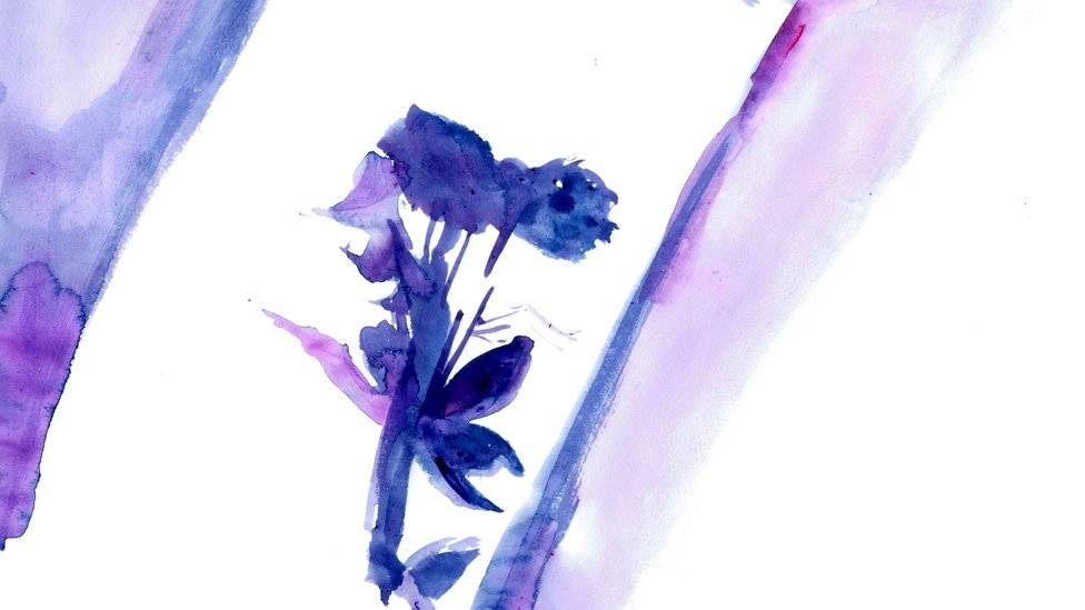98682382976x549roses-ca120a64caa4b397e2755422adf11ec3.jpg
