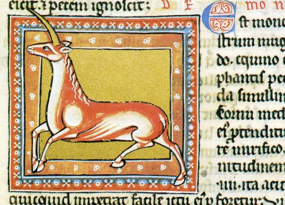 9898671985oxford1511unicornocopy-3218a53977f5d045dea2ebf09a49d25c.jpg