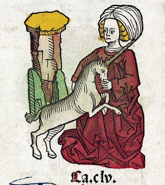 98988827atraparunicornio-b08da160a87a12059e692e152f81ca35.jpg