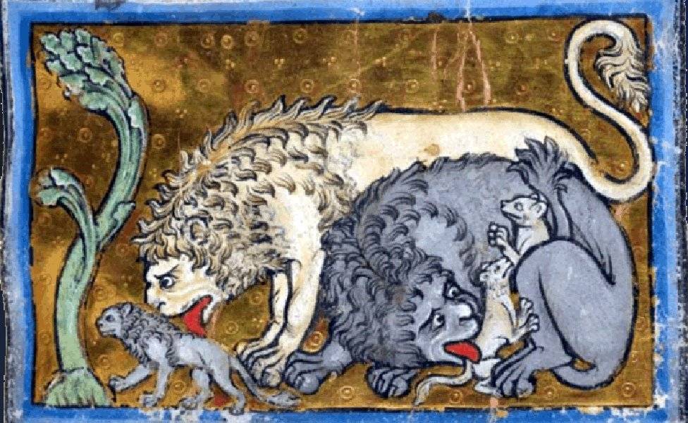 98989915leones-bcc874f358eff1a0764d8f162c77b9f4.jpg