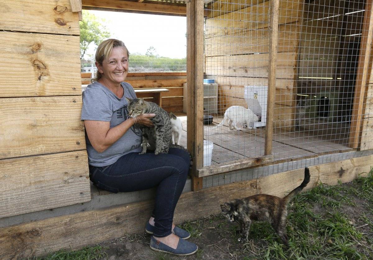 Raquel Majuna criou ambiente adequado para gatos no sítio, cujo endereço não é divulgado para evitar que se torne local de abandono de animais