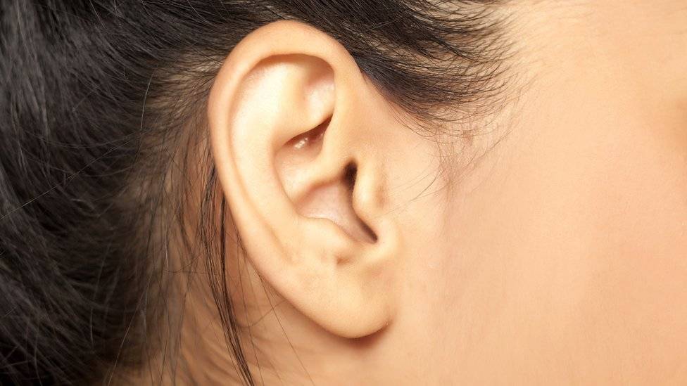99018945oreja-f42281e0ee4d0975f72f3596b9a185ff.jpg
