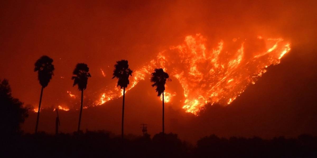 Al menos 600 viviendas evacuadas por un incendio forestal en California Al menos 600 viviendas evacuadas por un incendio forestal en California