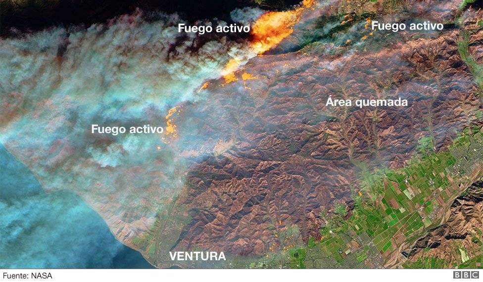 99116875incencioscalifornianasanc-85bfdf8418b970bc44e19aac86a8d11c.jpg