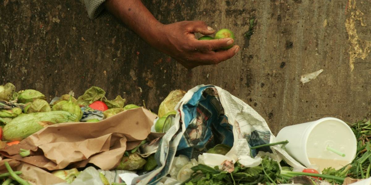 Cada año se tiran 20.4 millones de toneladas de alimentos en México Cada año se tiran 20.4 millones de toneladas de alimentos en México