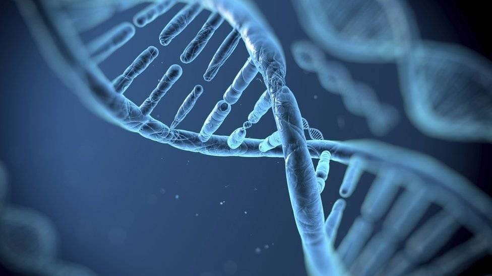 dna