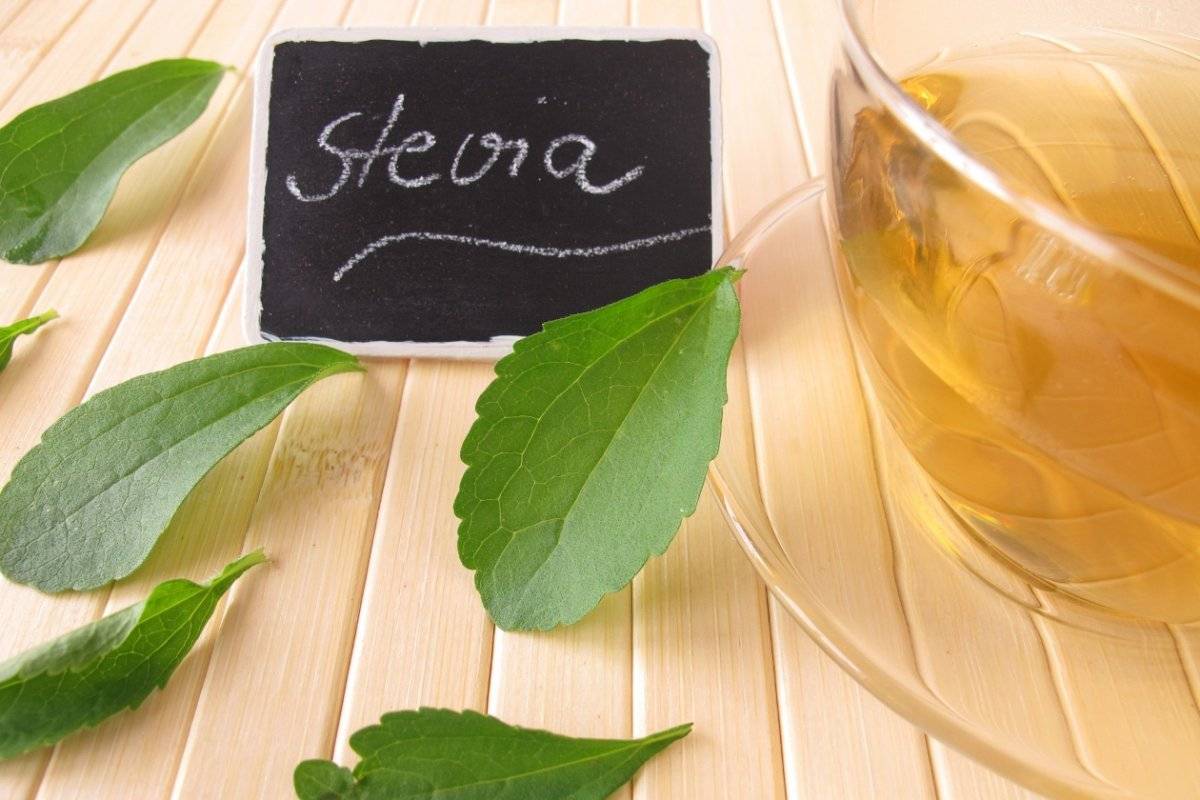 stevia