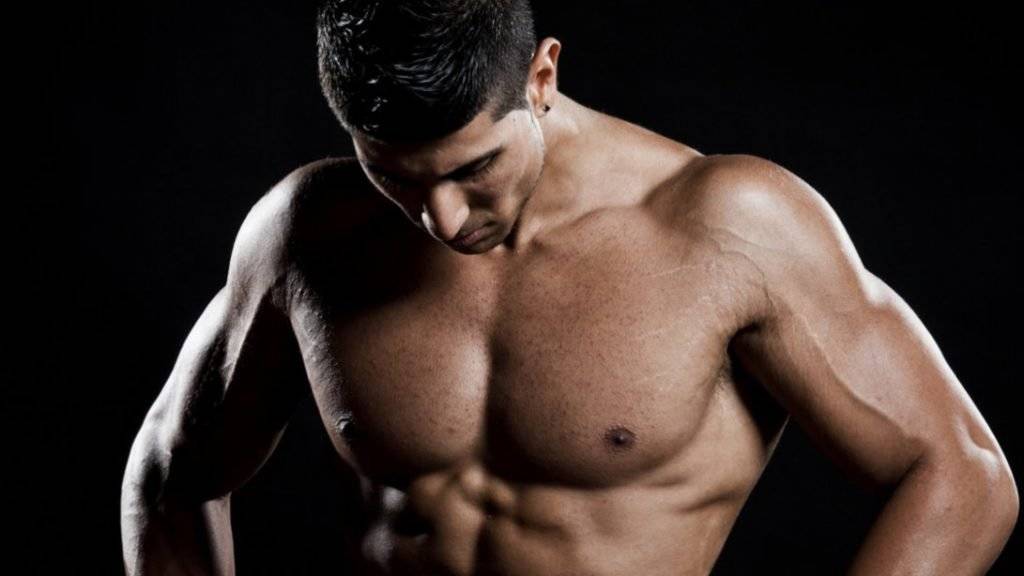 pectorales